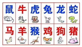 12生肖排行:十二生肖的千年密码,从星象到民俗的时空坐标 12生肖排行:十二生肖的千年密码,从星象到民俗的时空坐标