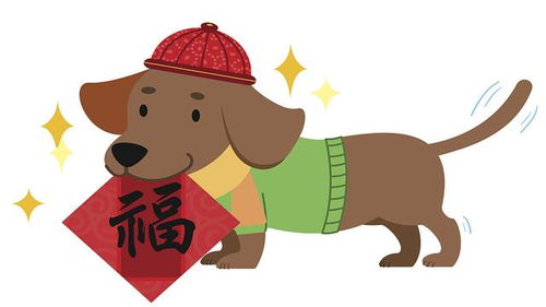 属狗的多大年龄:属狗人的年龄与运势全解析,从童年到暮年的性格与机遇 属狗的多大年龄:属狗人的年龄与运势全解析,从童年到暮年的性格与机遇