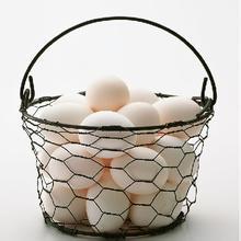 梦见鸡蛋很多是什么意思:梦见鸡蛋很多是什么意思? 梦见鸡蛋很多是什么意思:梦见鸡蛋很多是什么意思?