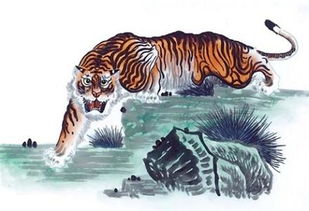 74年属虎48岁有一灾:74年属虎48岁犯太岁?三招化解灾运,把握人生转折点 74年属虎48岁有一灾:74年属虎48岁犯太岁?三招化解灾运,把握人生转折点