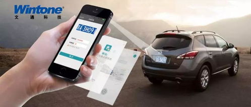 车牌号测试打分免费：免费车牌号测试打分，快速评估车辆合法性及安全性能全攻略