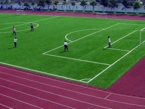 五人制足球场造价预算(足球门尺寸标准是多少) 五人制足球场造价预算(足球门尺寸标准是多少)