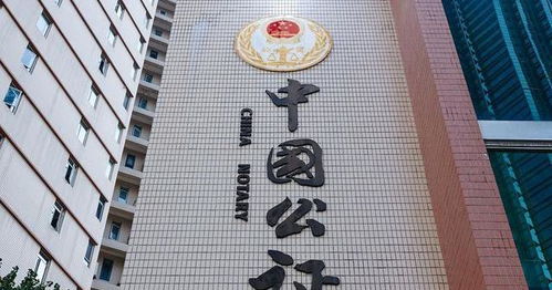下雨天女儿请吊车帮父母收玉米 下雨天女儿请吊车帮父母收玉米