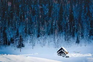 梦见下雪是有人要过世吗:梦见下雪是有人要过世吗?揭开梦境背后的神秘面纱 梦见下雪是有人要过世吗:梦见下雪是有人要过世吗?揭开梦境背后的神秘面纱