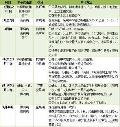 五格剖象法:五格剖象法,姓名能量学的科学解码与实用指南 五格剖象法:五格剖象法,姓名能量学的科学解码与实用指南