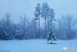 梦见下雪是不是要死人:梦里下雪,死亡敲门?民间传说背后的科学真相 梦见下雪是不是要死人:梦里下雪,死亡敲门?民间传说背后的科学真相