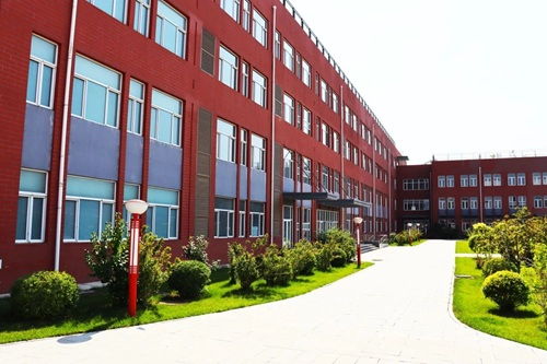 北京1+3学校不如普通高中(北京高中1+3的学校都有哪些学校) 北京1+3学校不如普通高中(北京高中1+3的学校都有哪些学校)