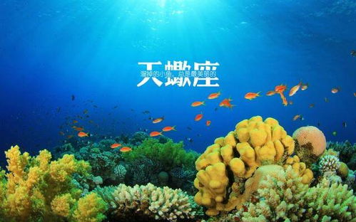 十二星座最喜欢的国家:十二星座环球旅行指南,你的星座灵魂最适配哪个国家? 十二星座最喜欢的国家:十二星座环球旅行指南,你的星座灵魂最适配哪个国家?