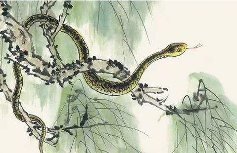 女人梦见一大一小两条蛇:女人梦见一大一小两条蛇,潜意识中的隐喻与启示 女人梦见一大一小两条蛇:女人梦见一大一小两条蛇,潜意识中的隐喻与启示