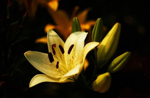 2022年注定和旧爱复合的生肖:2022年十二生肖复合指南,哪些星座将迎来旧爱回头的精准预测 2022年注定和旧爱复合的生肖:2022年十二生肖复合指南,哪些星座将迎来旧爱回头的精准预测