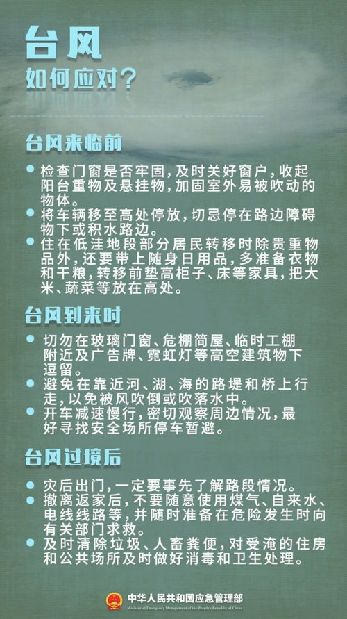 被淹了怎么办:被淹了怎么办?这些应急指南请收好! 被淹了怎么办:被淹了怎么办?这些应急指南请收好!