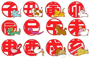 生肖配偶婚姻配对:十二生肖婚姻配对指南,科学解析与情感建议 生肖配偶婚姻配对:十二生肖婚姻配对指南,科学解析与情感建议