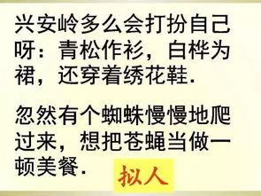 语文老师最喜欢的星座：语文老师最爱的星座TOP5，从文字敏感到灵魂共鸣的星象解码