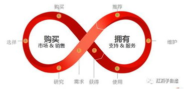 免费抽签一卦龟:免费抽签一卦龟,传统文化与现代互动的新尝试 免费抽签一卦龟:免费抽签一卦龟,传统文化与现代互动的新尝试