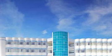 中海石油化学遭MGD Holdings减持101.6万股 每股作价约2.3港元 中海石油化学遭MGD Holdings减持101.6万股 每股作价约2.3港元