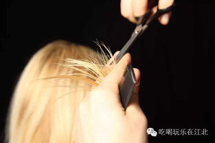 男人梦见自己剃头发:男人梦见自己剃头发,一场关于形象、压力与改变的潜意识对话 男人梦见自己剃头发:男人梦见自己剃头发,一场关于形象、压力与改变的潜意识对话