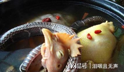 男人梦见蛇吓醒了好吗:男人梦见蛇吓醒了好吗?解密梦境背后的真相与应对指南 男人梦见蛇吓醒了好吗:男人梦见蛇吓醒了好吗?解密梦境背后的真相与应对指南