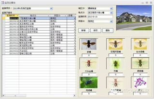 access实例100例:Access 实例 100 例,从入门到精通,掌握数据库应用精髓 access实例100例:Access 实例 100 例,从入门到精通,掌握数据库应用精髓