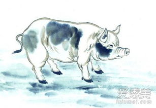 1983年属猪运势:1983年属猪人运势解析,吉凶相依,把握机遇迎头赶上 1983年属猪运势:1983年属猪人运势解析,吉凶相依,把握机遇迎头赶上