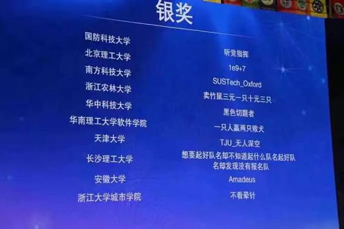 程序设计大赛:代码战场,程序设计大赛的挑战与成长 程序设计大赛:代码战场,程序设计大赛的挑战与成长