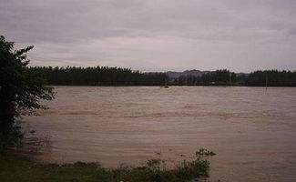 梦见河里涨水:梦中河涨,心间波澜—解析梦见河里涨水的隐喻 梦见河里涨水:梦中河涨,心间波澜—解析梦见河里涨水的隐喻