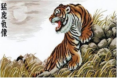 梦见成功躲过老虎追赶:老虎来了,你躲好了吗?解析梦见成功躲过老虎追赶的潜意识密码 梦见成功躲过老虎追赶:老虎来了,你躲好了吗?解析梦见成功躲过老虎追赶的潜意识密码