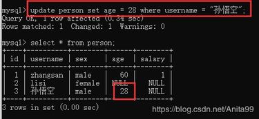 更新表的sql语句：掌握SQL更新表语句，从基础到进阶的全面指南