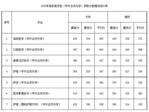 重医中外合作办学分数线(重医中外合作录取分数线) 重医中外合作办学分数线(重医中外合作录取分数线)