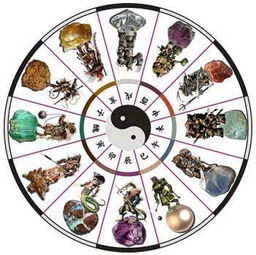 出生年月和属相的配对表:十二生肖属相配对全解析,从五行相生到情感相合的科学指南 出生年月和属相的配对表:十二生肖属相配对全解析,从五行相生到情感相合的科学指南