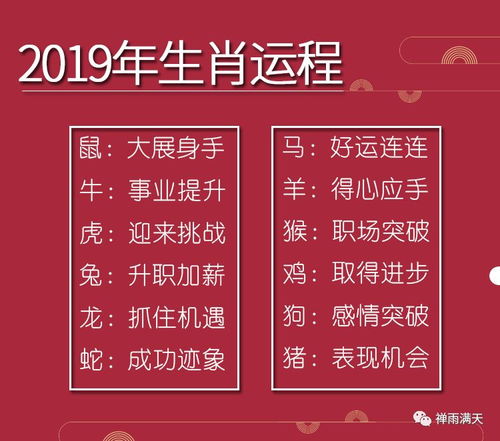今日运势查询十二生肖：十二生肖今日运势全解析，精准预测好运与挑战，解锁你的幸运时刻