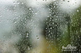 孕妇梦见下大雨是什么意思:孕妇梦见下大雨是什么预兆?准妈妈必看! 孕妇梦见下大雨是什么意思:孕妇梦见下大雨是什么预兆?准妈妈必看!