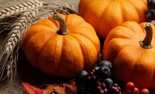 女人梦见南瓜是什么兆头:女人梦见南瓜是什么兆头?解密南瓜梦的神秘寓意 女人梦见南瓜是什么兆头:女人梦见南瓜是什么兆头?解密南瓜梦的神秘寓意