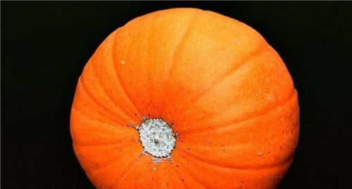 女人梦见南瓜是什么兆头:女人梦见南瓜是什么兆头?解密南瓜梦的神秘寓意 女人梦见南瓜是什么兆头:女人梦见南瓜是什么兆头?解密南瓜梦的神秘寓意