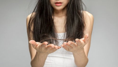 女人梦见自己掉头发一拽一缕：梦中掉发，一拽一缕，女人梦见自己掉头发的心理与象征