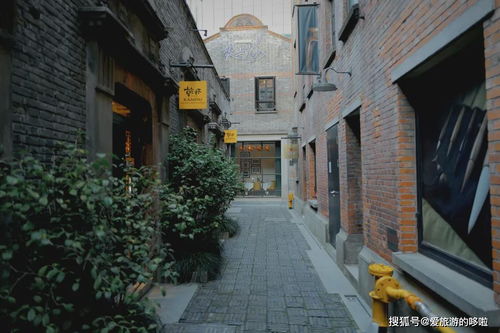 花园里弄:花园里的弄堂时光 花园里弄:花园里的弄堂时光