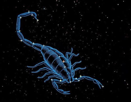 天秤男和什么星座女最配:天秤男的最佳星座伴侣,5大黄金组合解析与相处指南 天秤男和什么星座女最配:天秤男的最佳星座伴侣,5大黄金组合解析与相处指南