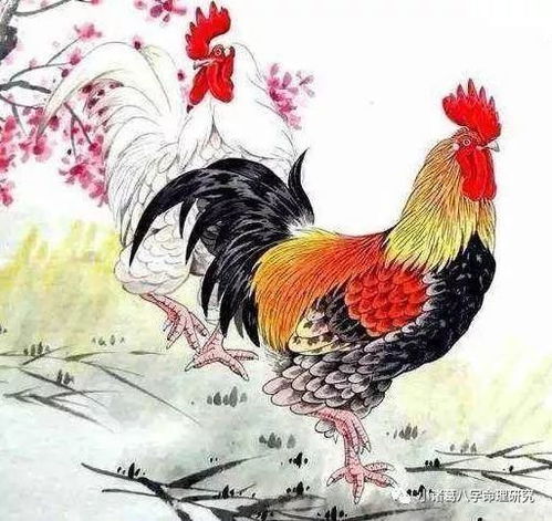 属鸡的2020年运势运程：金鸡报喜！属鸡人2020年运势全解析，事业跃升、财运亨通、感情升温的三大黄金法则