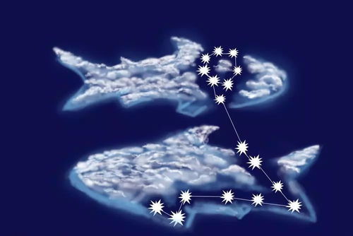 十二星座天蝎座配对:天蝎座配对全解析,从灵魂契合到挑战重重的十二星座关系图谱 十二星座天蝎座配对:天蝎座配对全解析,从灵魂契合到挑战重重的十二星座关系图谱