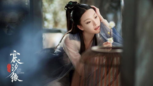 青丝影院视频在线播放(青丝情丝) 青丝影院视频在线播放(青丝情丝)