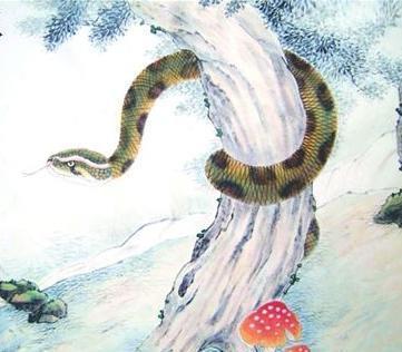 属蛇人注定纠缠生肖:属蛇人情感纠葛全解析,与这四个生肖的宿命纠缠与破局之道 属蛇人注定纠缠生肖:属蛇人情感纠葛全解析,与这四个生肖的宿命纠缠与破局之道