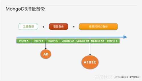 怎么建数据库:从零开始,构建高效数据库的完整指南 怎么建数据库:从零开始,构建高效数据库的完整指南