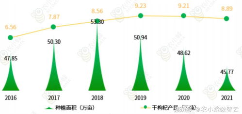 测星盘免费入口：测星盘免费入口全攻略，如何轻松获取天文学观测工具？