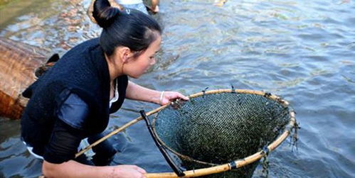 女人梦见买鱼好不好:女人梦见买鱼好不好?从传统文化到现代心理学的全面解析 女人梦见买鱼好不好:女人梦见买鱼好不好?从传统文化到现代心理学的全面解析