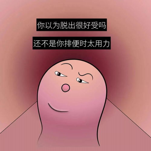 内痔和外痔的区别图片:一文看懂,内痔和外痔的区别(附图解析) 内痔和外痔的区别图片:一文看懂,内痔和外痔的区别(附图解析)