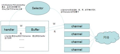 一分钟快速看懂心电图:一分钟快速看懂心电图,图解关键指标与急救要点 一分钟快速看懂心电图:一分钟快速看懂心电图,图解关键指标与急救要点