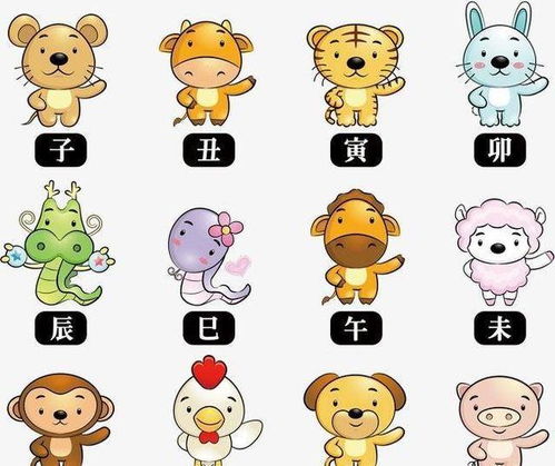 12属相婚姻匹配表:十二生肖婚姻匹配表,科学解读与传统文化中的配对智慧 12属相婚姻匹配表:十二生肖婚姻匹配表,科学解读与传统文化中的配对智慧