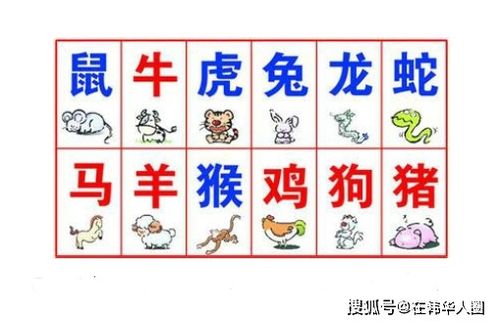 12属相婚姻匹配表:十二生肖婚姻匹配表,科学解读与传统文化中的配对智慧 12属相婚姻匹配表:十二生肖婚姻匹配表,科学解读与传统文化中的配对智慧