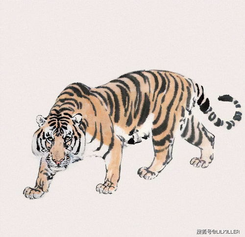 2022年生肖虎运势大全:2022年生肖虎运势全解析,事业爱情双丰收,健康财运双喜临门! 2022年生肖虎运势大全:2022年生肖虎运势全解析,事业爱情双丰收,健康财运双喜临门!