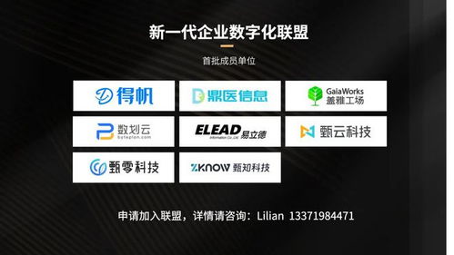 抽签软件：抽签软件，数字化时代下的公平与趣味新选择