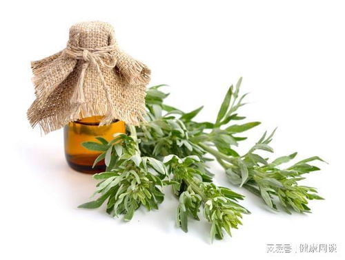 艾叶泡脚的好处和禁忌:艾叶泡脚,驱寒祛湿,养生保健的双重功效与注意事项 艾叶泡脚的好处和禁忌:艾叶泡脚,驱寒祛湿,养生保健的双重功效与注意事项